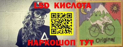 индика Ирбит