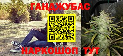 индика Ирбит