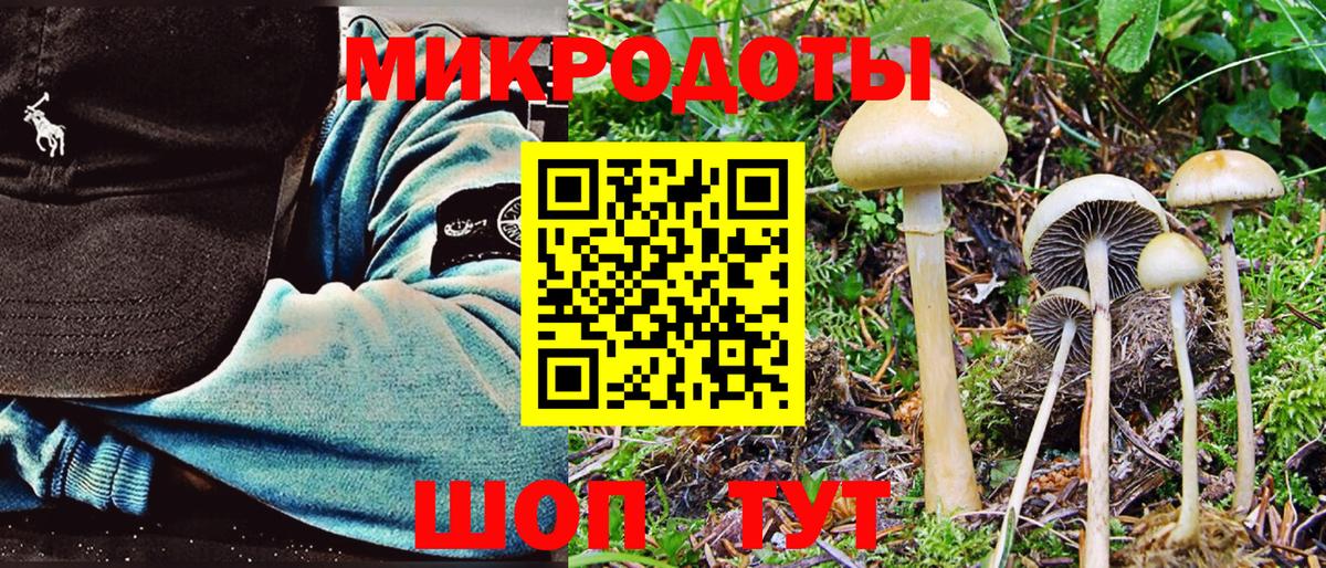 Псилоцибиновые грибы GOLDEN TEACHER  Вход с VPN  сколько стоит  Галлюциногенные грибы Magic Shrooms  Кыштым 